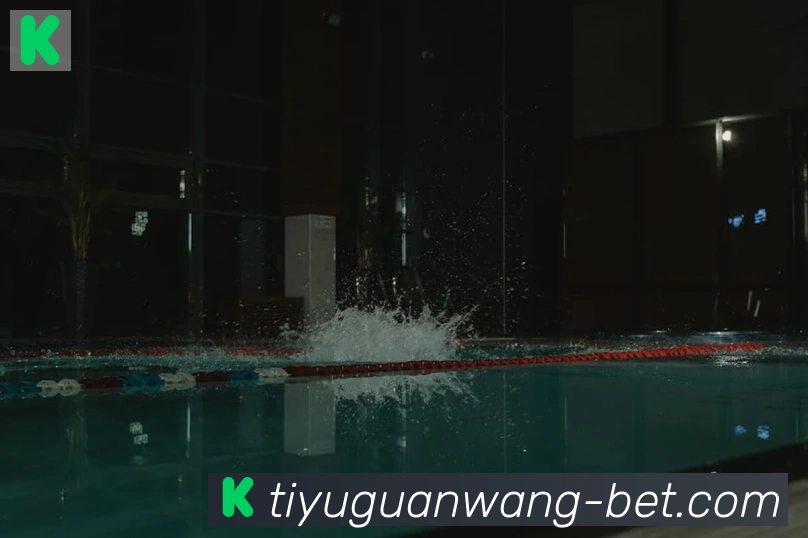 NG体育官网平台生态图